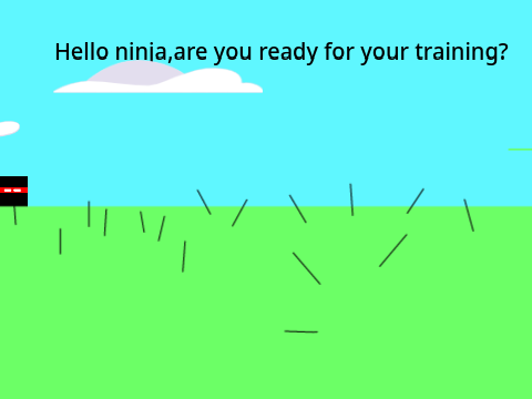 Ninja quest 1