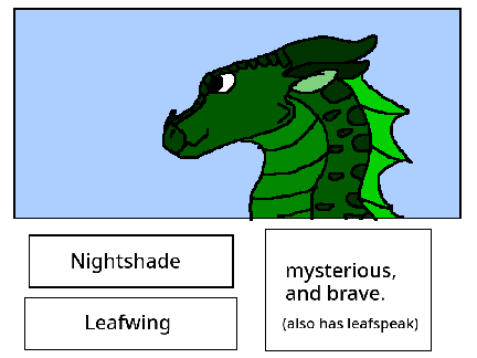 Dragon Profile: Nightshade