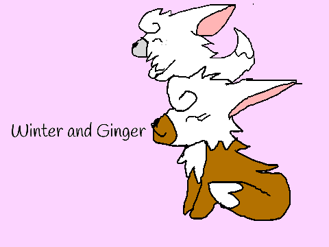 Art Trade with FennecyFoxy27