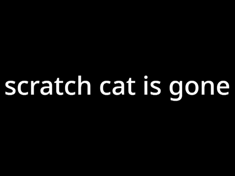 scratch cat dissapears