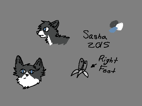 Sasha Ref 2015