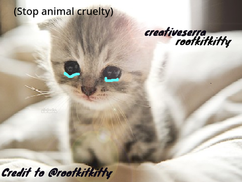 ( sign if you hate animal cruelty )
