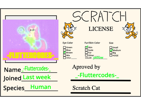 My Scratch License