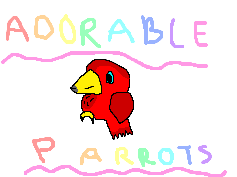 Adorable Parrots