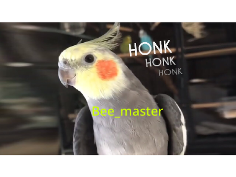 Sign if you miss Alex the honking bird :(