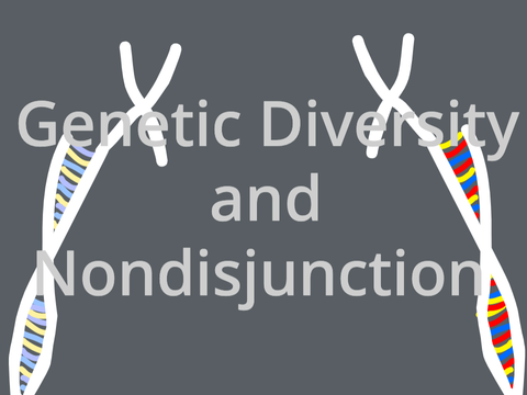 Genetic Diversity and Nondisjunction