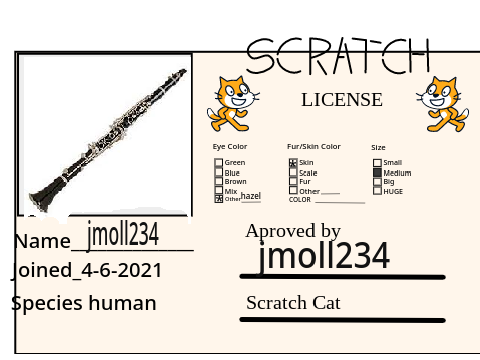 Make Your Own Scratch License remix
