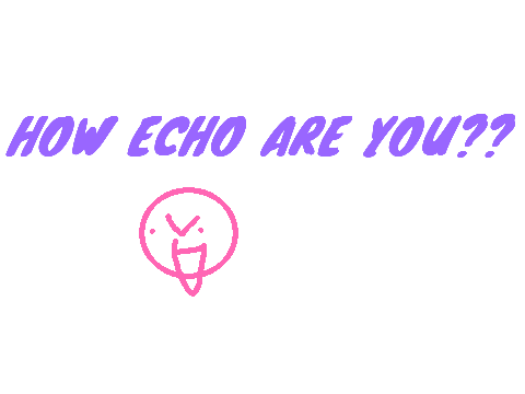 ~How echo are you?~ remix