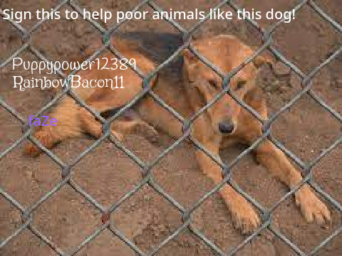 Sign this if you want to help animals in animal shelters! remix remix