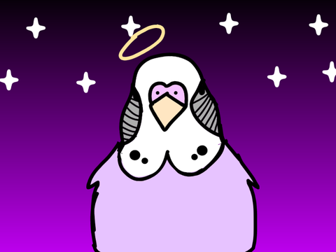 Tribute Meme ~ Sky Full Of Stars