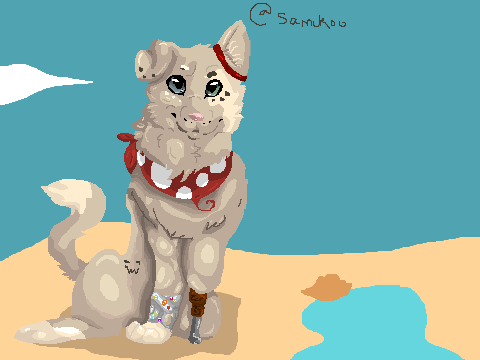 Pirate Dogs