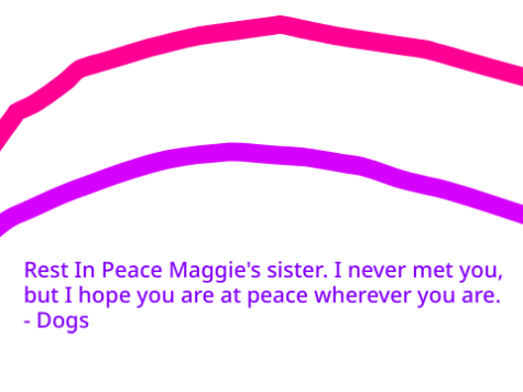 In honer of my bff/sister remix