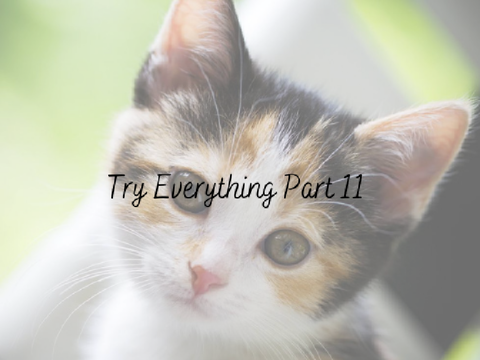try everything - part 11 ♫