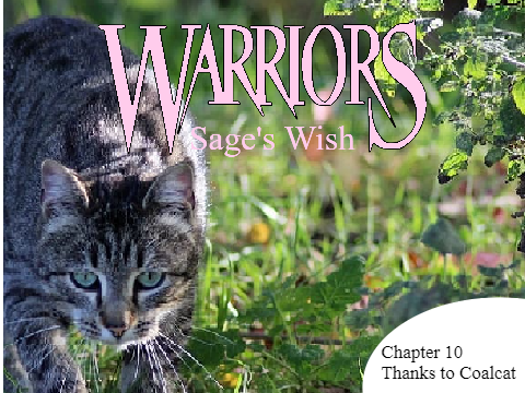 Sage's Wish - Chapter 10