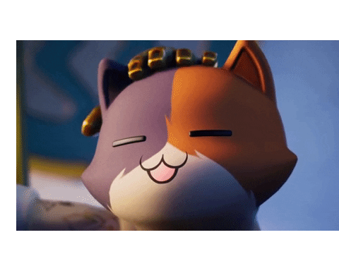 cat gif