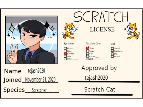 My Scratch License 
