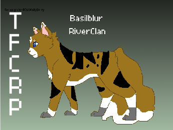Basilblur ~ Redesign