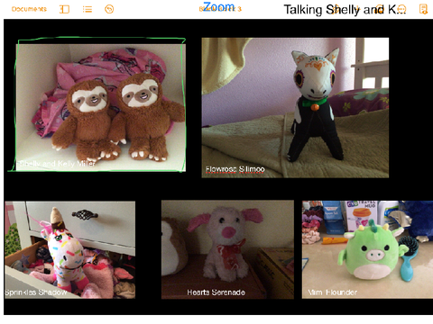 Stuffed animals that zoom 