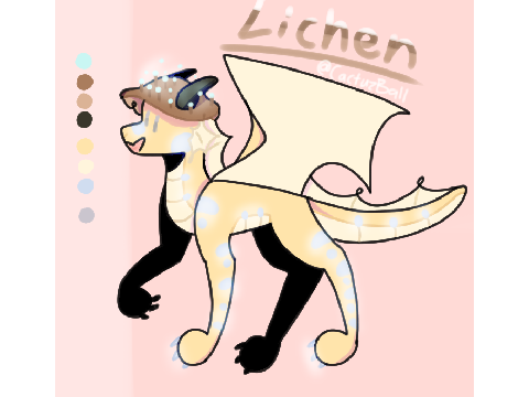 Lichen Reference Sheet UoU