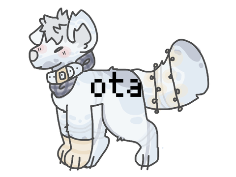 Ota -