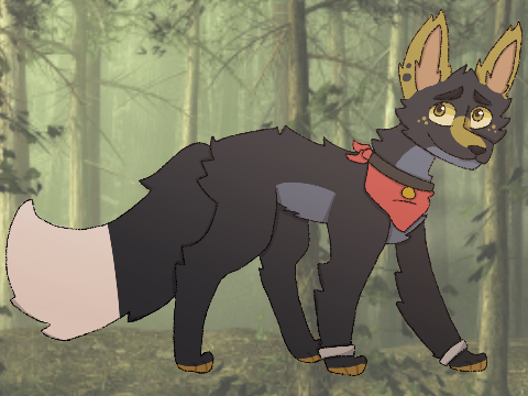 hi i drew you a present because i like you
