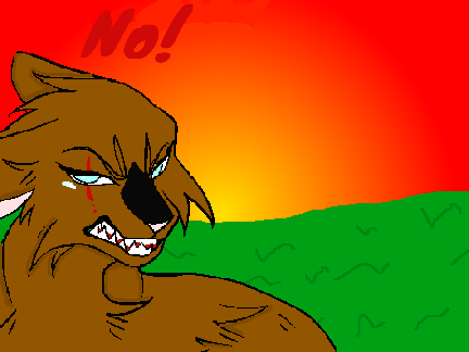 I'm sorry....... OPEN CC entry