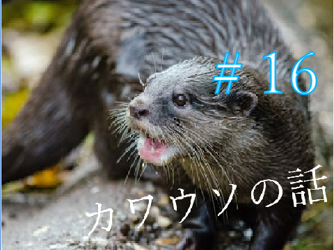 カワウソの話　＃16ニホンカワウソの生態