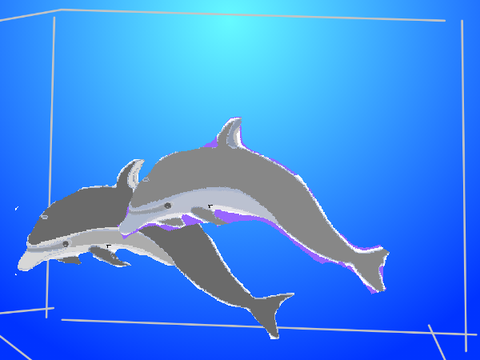 Dolphin tank