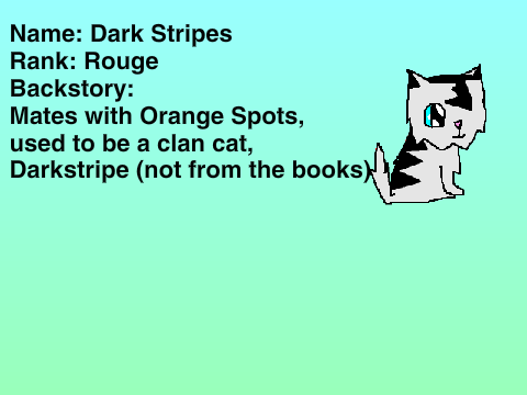Dark Stripes & Orange Spots BIOs