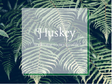 Banner for @Huskeyleap555 