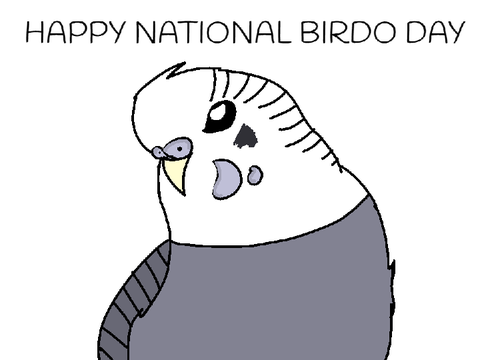 HAPPY NATIONAL BIRDO DAY