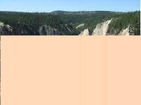 Lost In Yellowstone