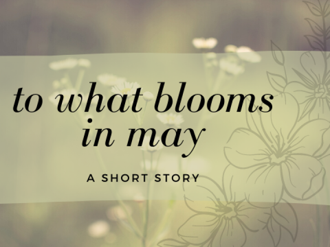 to what blooms in may.