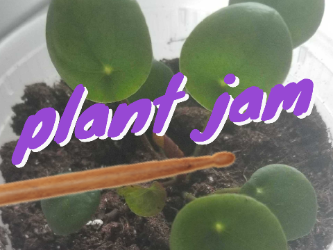 Plant Jam