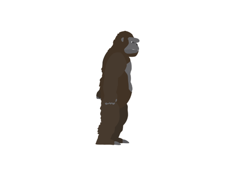 *REMODEL* Divergent Kong Vector