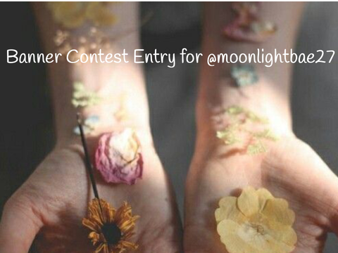 Banner Contest Entry for @moonlightbae27♡♡♡