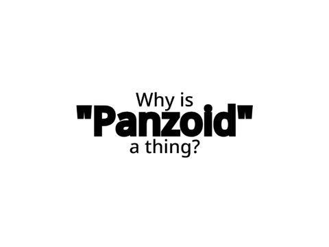 The Problem About "Panzoid"