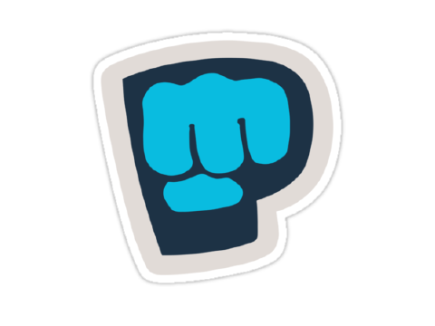 PEWDIEPIE FTW BRUH