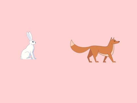 Bunny or Fox?