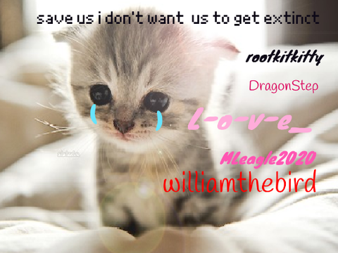 sign if you hate animal cruelty remix remix