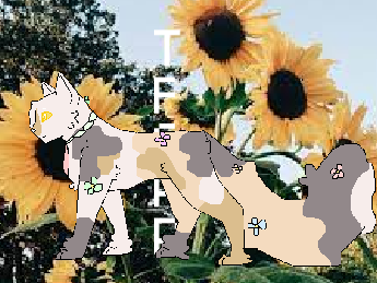 Design for tfcrp