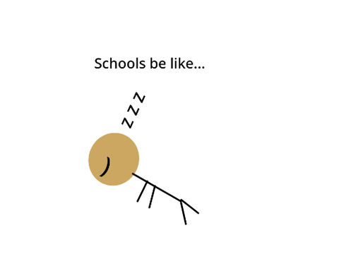 Typical schools be like