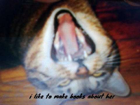 about my cat Kitty