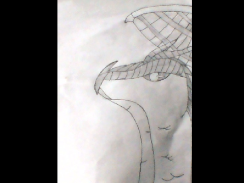 *Draws In Class*