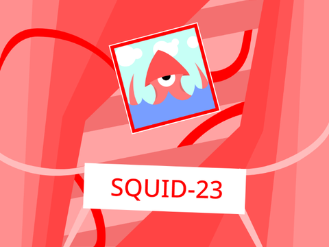STIOC Entry for squid