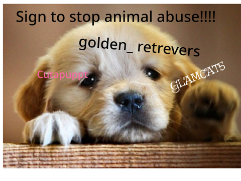 Stop animal abuse! remix remix