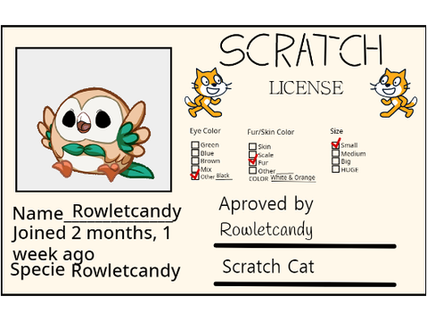 Make Your Own Scratch License remix