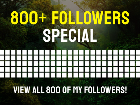 800+ Followers Special [Re-upload]