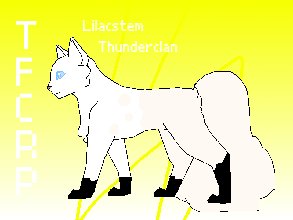 Lilac Redesign