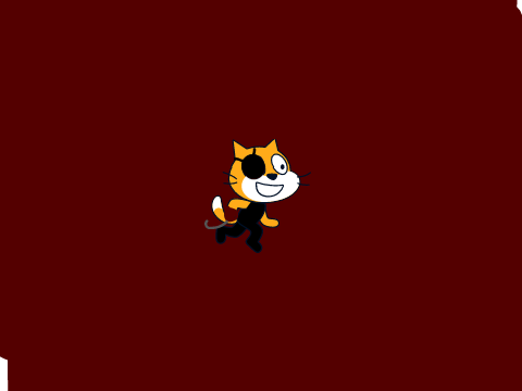 pirate cat :)